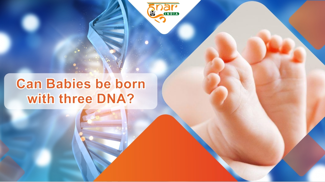 Can Babies be born with three DNA?