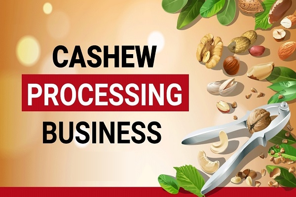 Cashew Processing Units