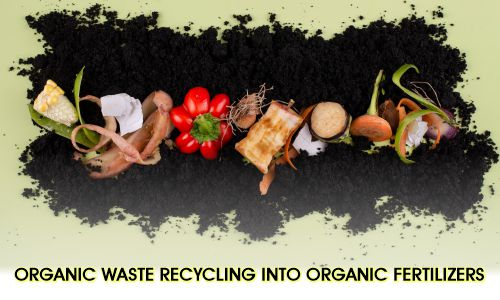 Organic waste recycling into organic fertilizers
