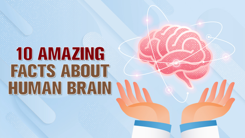 10 AMAZING FACTS ABOUT HUMAN BRAIN