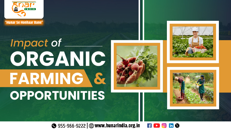 Impact of Organic Farming and Opportunities