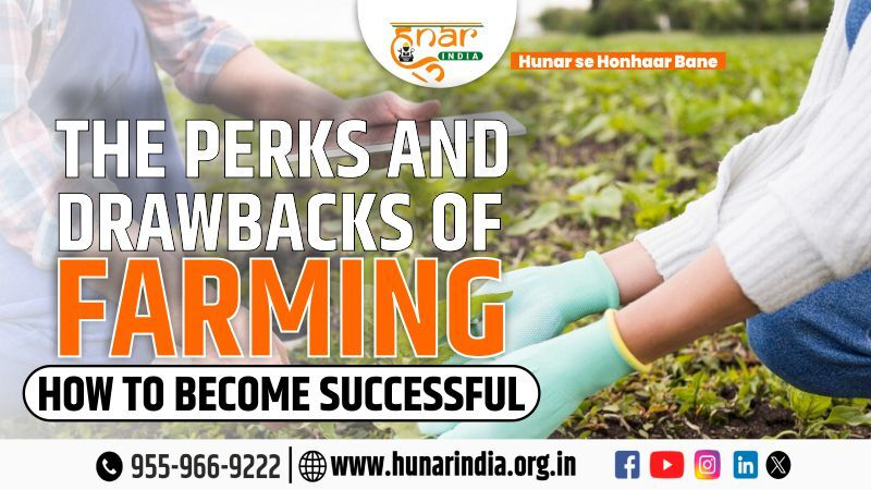 The Perks and Drawbacks of Farming: How to Become Successful