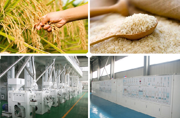 Rice Milling Technology