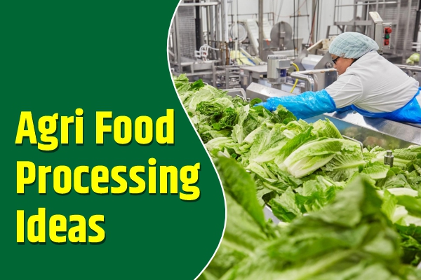 Agri Food Processing Ideas