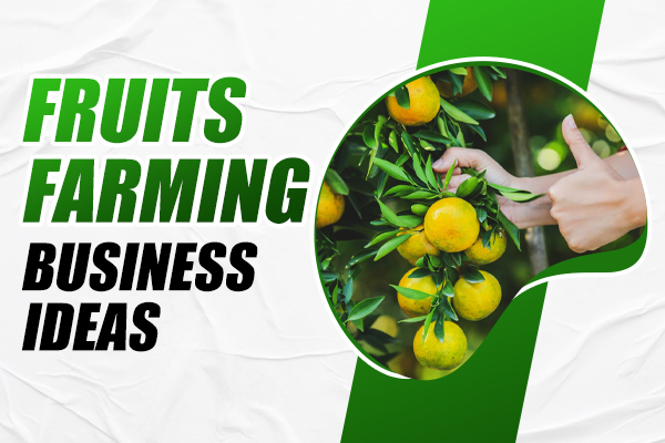 Fruits Farming Business Ideas