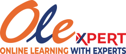 Online Learning With Experts - OLExpert
